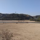 본가모텔 | *한국의 아름다운 길 100선 선정, 경북 영주 무섬마을(물 위에 떠 있는 섬)의 외나무다리