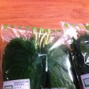 속리산농장 이미지