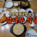 양양 감나무식당 황태국밥 후기, 평일 점심 웨이팅 짧았던 내돈내산 맛집
