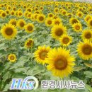 송정동 희망공원 티스토리