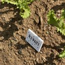 홍이네농장 이미지