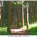 갈모봉산림욕장 이미지