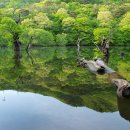 늘푸르름농장 이미지