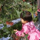 신남어린이집 이미지