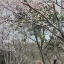 미향각 - 인제군 신남로46번길 4 | 미향각