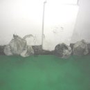 (주)거한환경