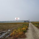 덕진-24 이미지
