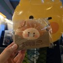 광안4-208 | 7.20~7.21 춘식이와 부산은 처음이라...[부산 여행 &amp; 춘장투어 합격 후기 / 스펙]