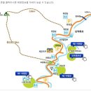 송지호오토캠핑장 이미지