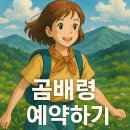 곰배령 PC | 2025 곰배령 예약하기 방법