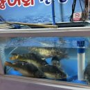 하대동249 이미지