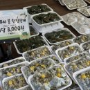 현주떡집