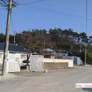 김영수농장 이미지