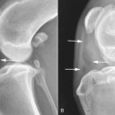 바른동물병원 이미지
