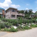 월롱면 위전리 전철도보이용 대지204평/건평40평 매매4억3천만원 이미지