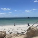 인도양펜션 | [퍼스 여행] 칼바리 투어(무어리버,란셀린 모래사막,세르반테스 랍스터 쉑,The Horizon Ball,칼바리...