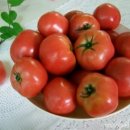 밝은안경원 이미지