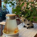 (주)포레스트 카라반 파크 이미지