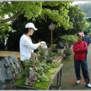 자연예술랜드 이미지