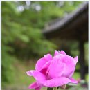 동송초등학교 이미지