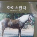 너른마당 - 하동군 회남재로 356-1 | 너른마당