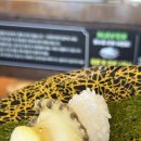 스시아이(목포하당점) | [목포맛집] 교스시 – 신상 회전초밥 맛집! 고급초밥이 1900원 할인이라니?!