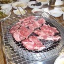 양지 Daum카페