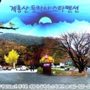 계룡산동학사스타 이미지