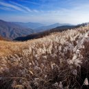 중앙정형외과 이미지