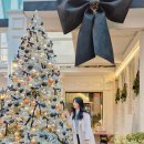 카페 압구정에서 | 압구정에서 가장 예쁜 트리 카페 빠니드 엠 무니 인생샷 후기