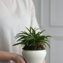 어린이 AI활용 글쓰기 | 온라인 자영업자의 'AI 활용 글쓰기' – 돈값은 뽑고 있냐고요? 솔직 후기