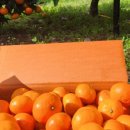 진한농장 이미지