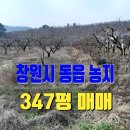 부곡온천부동산중개 이미지