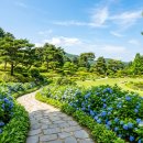 임영로 | 6월 황금연휴 국내 여행지 추천 베스트 3 (feat. 절대 실패 없는 근교 맛집 코스)