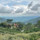 이고컴퍼니 이미지