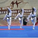 스카이 태권도 이미지