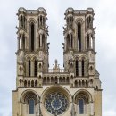 장미 수선 이미지