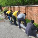 희망나무심기5 이미지