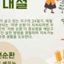 세모법인