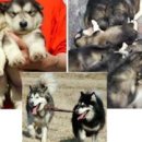 가정1-03-054 이미지