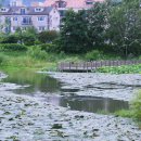 남양산역저수지 이미지