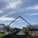 어쩌다영락 이미지