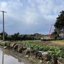 무릉리-5 이미지