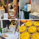 반려동물 수제간식창업 이미지