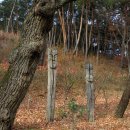 노송목장 이미지