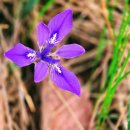 만덕농장 | ⛩ 만덕 병풍암 석불사