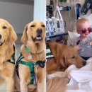 미소동물병원 이미지