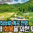 홍천토지부동산중개사무소 | [매물435] 맑고 청정한 홍천강 최상류, 건강과 회복을 위한 토지 급매물 7천만원