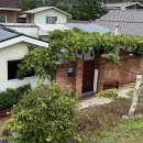 봉봉스테이션 강릉교동점 | [강릉/포도봉봉] 강원도 강릉 숙소 추천 스테이 포도봉봉 (예약 할인 꿀팁, 주차, 맛집, 배달, 포장)