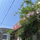 경기도 수원시 권선구 수인로196번길 1 (서둔동) | 수원 서둔동 맛집) 길모퉁이-시골감성 수원 팥칼국수 찐맛집(주차 화장실)